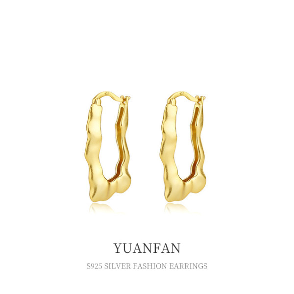 A35675 s925 sterling silver chic small irregular earrings