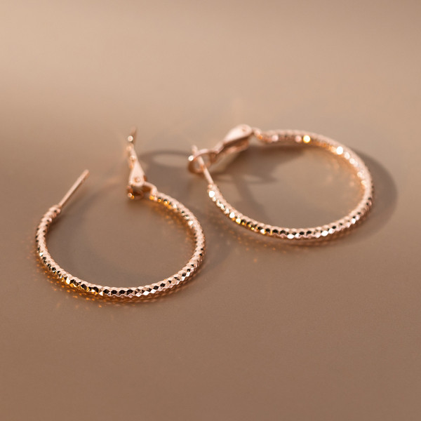 A39492 s925 sterling silver unique simple circle hoop elegant earrings