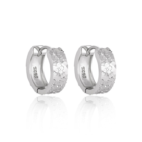A44217 s925 sterling silver elegant earrings