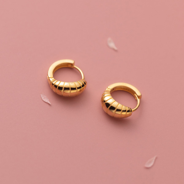 A36639 s925 sterling silver wide stripes design earrings