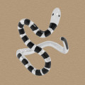 A45486 black glazed bar stripe serpent sterling silver s925 ring
