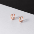 A44885 s925 sterling silver dainty simple unique rhinestone stud earrings