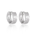 A44217 s925 sterling silver elegant earrings