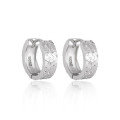 A44693 s925 sterling silver elegant earrings