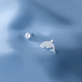 A35974 s925 sterling silver asymmetric sparkling earrings